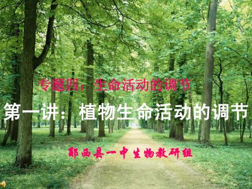 人教版教学课件植物的激素调节复习课件