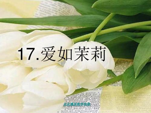 2017年春季学期苏教版五年级语文下册5.17爱如茉莉课件10