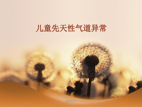 儿童先天性气道异常PPT课件