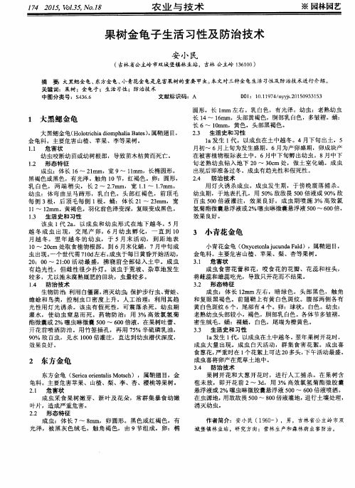 果树金龟子生活习性及防治技术