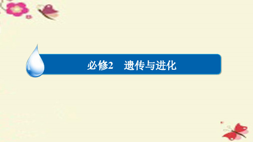 2017年高考生物一轮复习第7单元生物的变异、育种和进化(精)