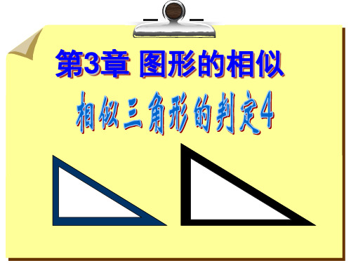 相似三角形的判定 三边对应成比例 