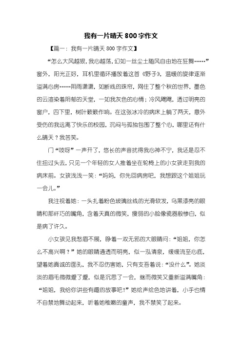 初三作文：我有一片晴天800字作文