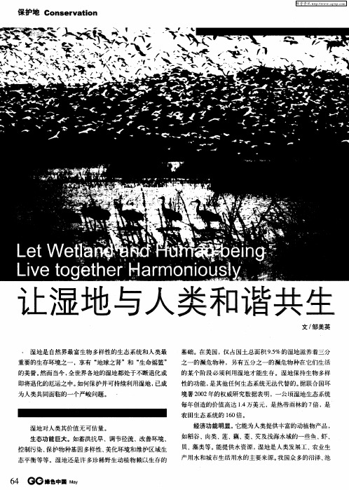 让湿地与人类和谐共生