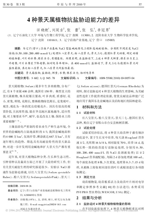 4种景天属植物抗盐胁迫能力的差异_田晓艳
