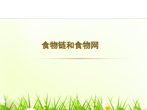 济南版八下生物课件6.2.2食物链和食物网 课件    (共22张PPT)