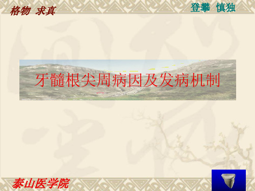 牙髓及根尖周病因及发病机制