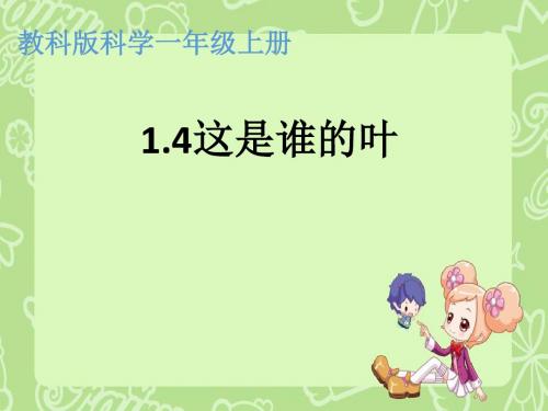一年级上册科学课件-1.4这是谁的叶(14) l  教科版 (共21张PPT)