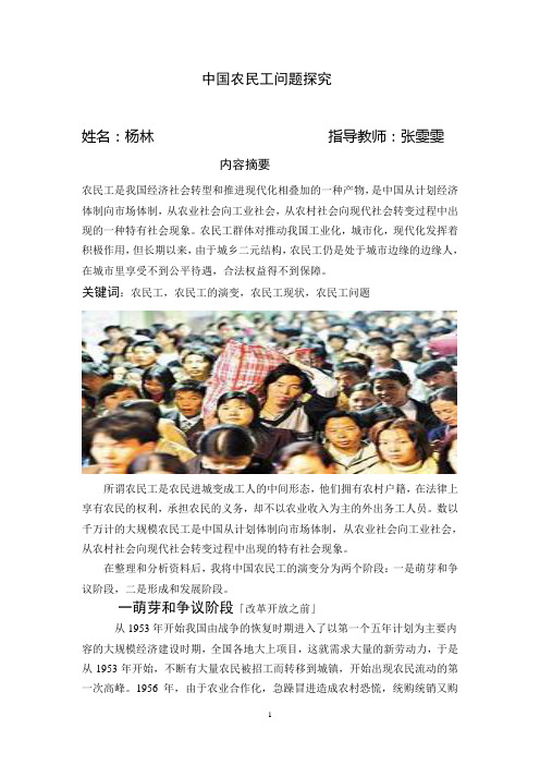 中国农民工问题探究
