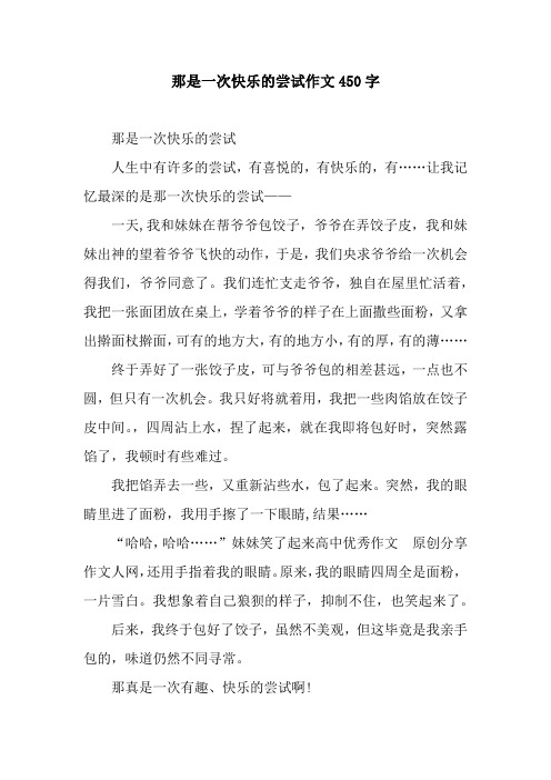 那是一次快乐的尝试作文450字