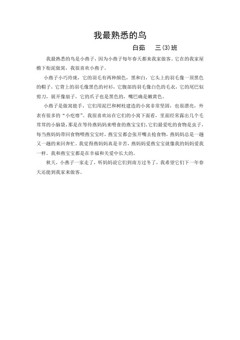 我最熟悉的鸟