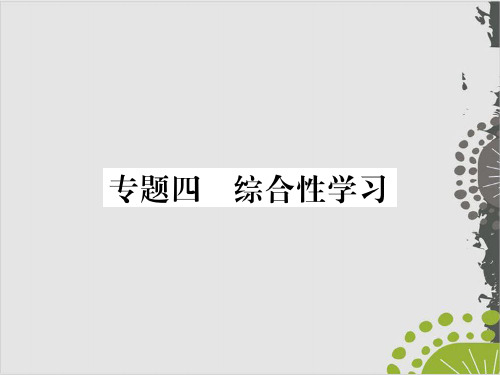 部编版八年级语文上课件：专题四 综合性学习(32页PPT)