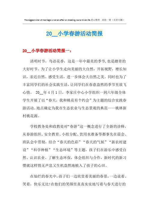 小学春游活动简报