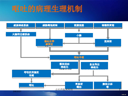 止吐药临床应用培训课件