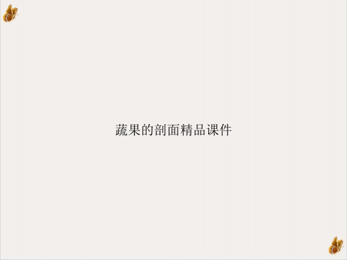 蔬果的剖面精品课件