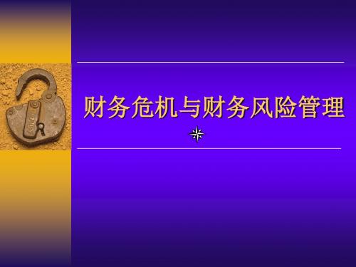 财务危机与财务风险管理课件-PPT课件