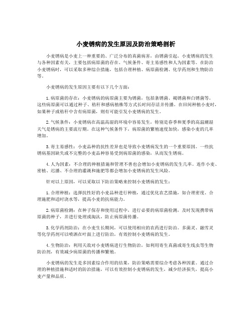 小麦锈病的发生原因及防治策略剖析