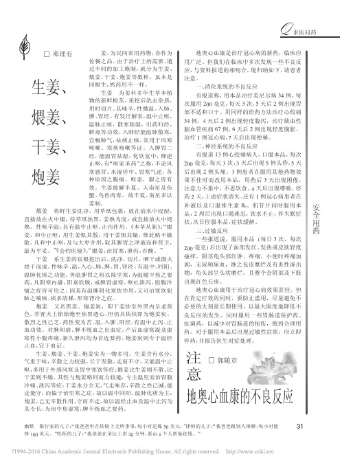 生姜_煨姜_干姜_炮姜_邓理有