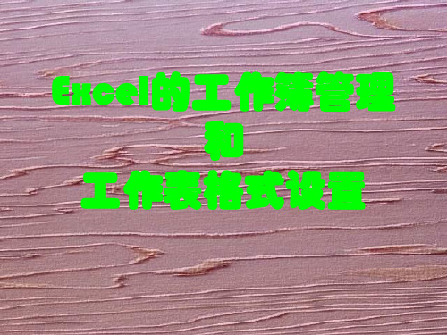 Excel的工作簿管理和工作表格式设置