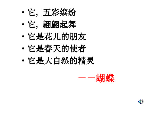 16、台湾蝴蝶甲天下讲解