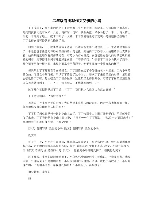 二年级看图写作文受伤的小鸟