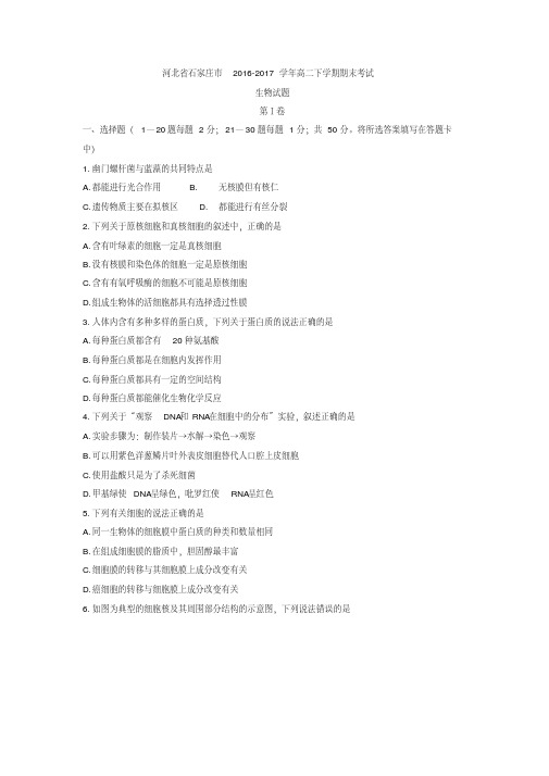 【精品】河北省石家庄市2016-2017学年高二下学期期末考试生物试题-含答案