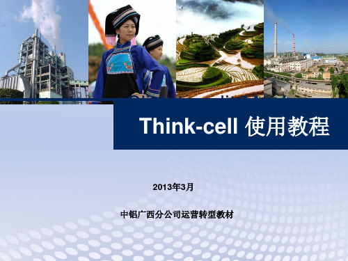 Thinkcell使用技巧报告