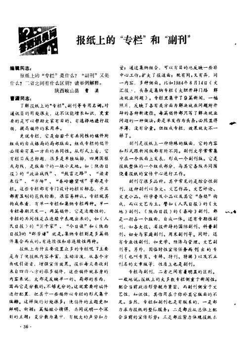 报纸上的“专栏”和“副刊”