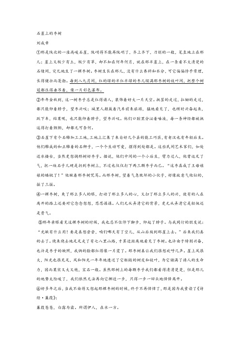 刘成章《石崖上的枣树》阅读练习及答案
