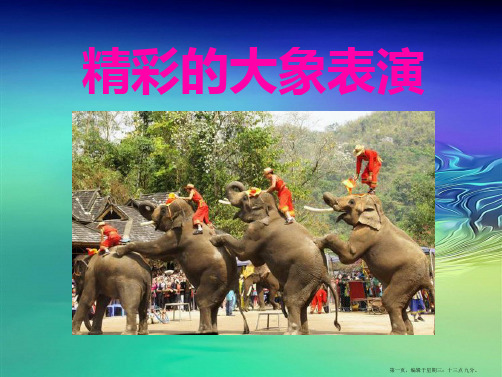 2022春湘教版语文三下《精彩的大象表演》ppt课件3