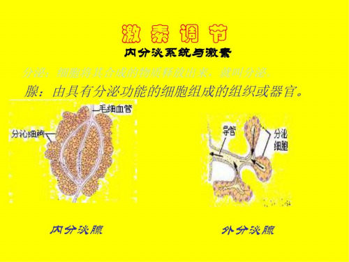 七年级生物激素调节3_5617