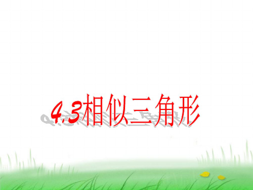 4.3相似三角形