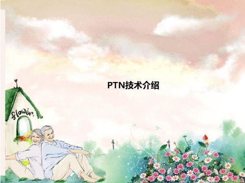 PTN技术介绍