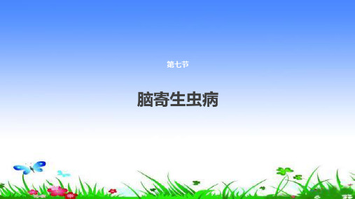 脑寄生虫病课件