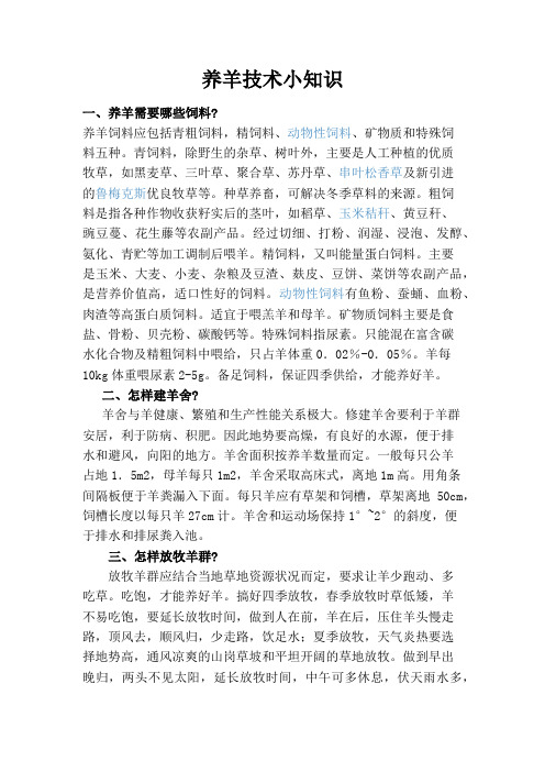 养羊技术小知识