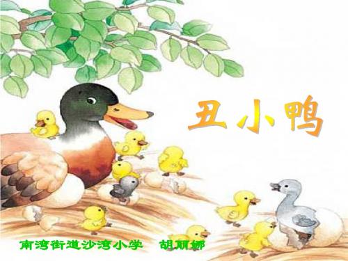 丑小鸭(课件)
