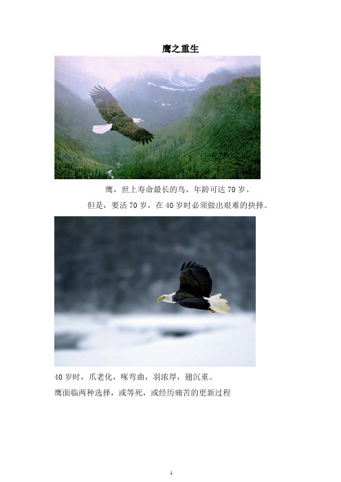 2019初中语文.作文课程.身心体悟篇 鹰之重生【精品】