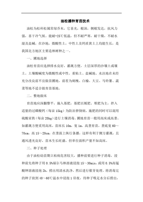 油松播种育苗技术论文