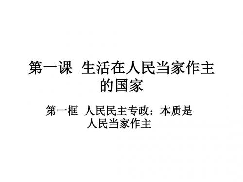 2.1.1人民民主专政