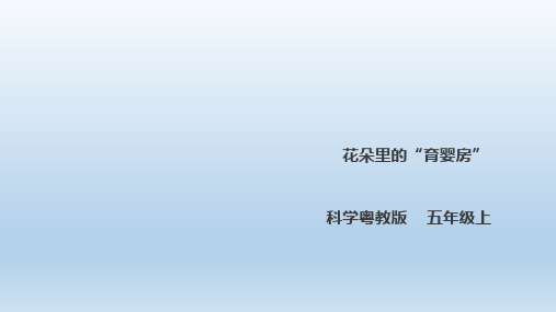 【粤教版】花朵里的“育婴房”PPT公开课课件1