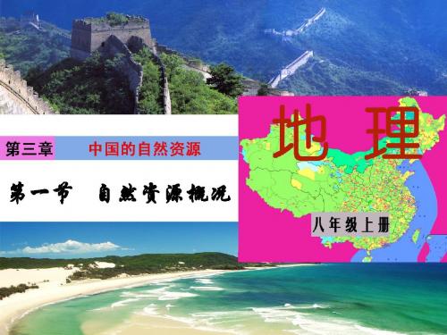 3.1 自然资源总量丰富 人均不足(共33张PPT) 课件3  (人教版八年级上)