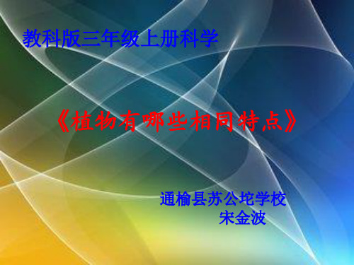 三年级上册科学-植物有哪些相同特点l教科版课件PPT