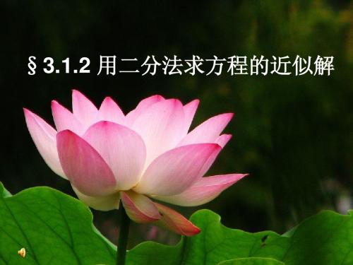 二分法 ppt