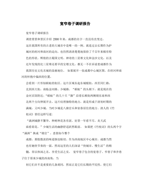 宽窄巷子调研报告