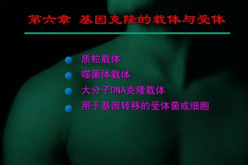 第六章  基因克隆的载体与受体_