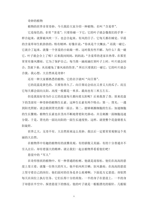 精选奇妙的植物