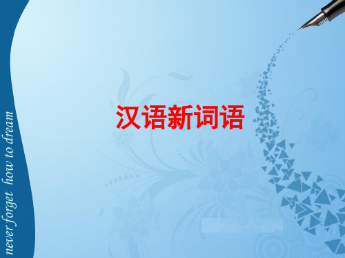 外国留学生汉语新词语 (1)