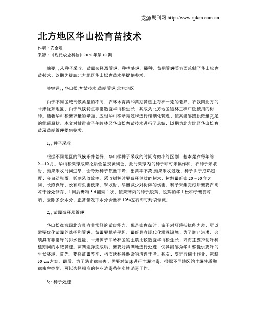 北方地区华山松育苗技术