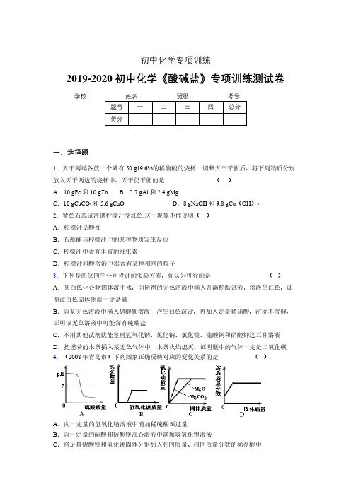 2019-2020学年初中化学《酸碱盐》专项训练模拟测试(含答案) (111)