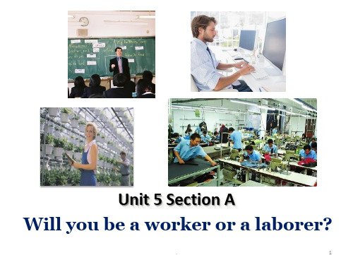 B3-Unit-5-Will-you-be-a-worker-or-laborPPT课件